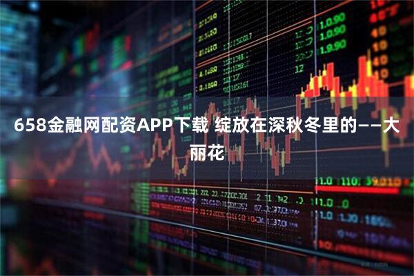 658金融网配资APP下载 绽放在深秋冬里的——大丽花