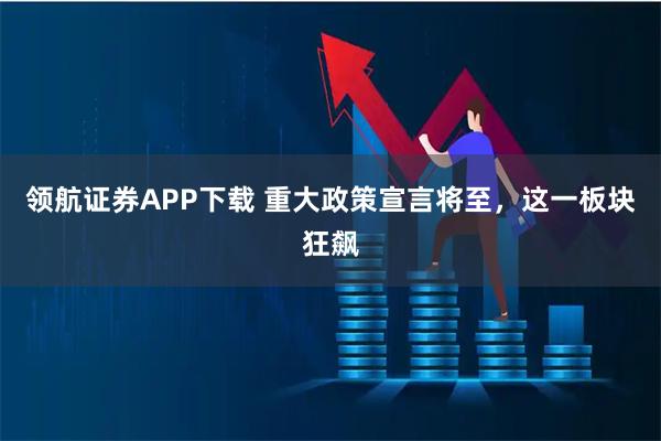 领航证券APP下载 重大政策宣言将至,这一板块狂飙